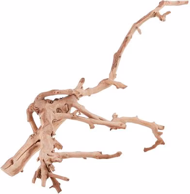 Natural Forest Branch Terrarium Decor - Medium