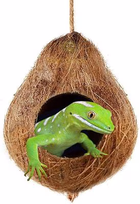 Natural Coconut Husk Reptile Hide & Cave
